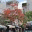 greaterhaiphong.wordpress.com