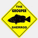 allenthegrouper.com