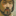 surazakov.liwest.ru