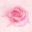 iakane.com