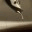 icouldwriteit.wordpress.com