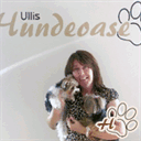 ullis-hundeoase.de