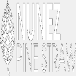 nunezpinestraw.com