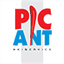 picaro.net