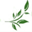 sagemoneytalks.wordpress.com