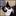 cat-resources.blogspot.com