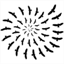 citizensensing.cc