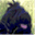 gps-briard.ch