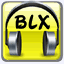 blxit.com