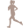 niersoft.com