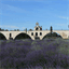 avignonprovence.over-blog.com