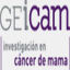 geicam.org