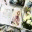 bibliophilicmedstudent.wordpress.com