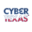 cybertexas.org