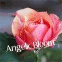 angelic-bloom.jp