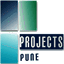 projectspune.com