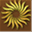 js00098.com