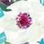 afewlovelythings.com