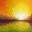 orangeguru.net