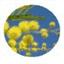 blog2nice.com