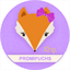 promifuchs.de