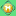 mihas.net