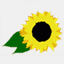 haksa.casuwon.ac.kr