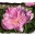 complyns.wordpress.com