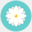 comodepilar.com