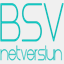 bsv.is