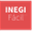 inegifacil.com