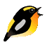 torizuki.com