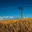intriguinglight.net