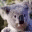 copingkoala.wordpress.com