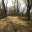 crowflows.wordpress.com