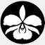 orchidee.de