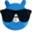 bluebearaware.com