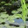 insightreflectionblog.wordpress.com