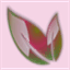 aspengrovenursery.com
