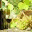 frontporchwinetasting.com