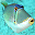 dive-point-memmingen.com