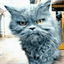 ldtsocioblogue.over-blog.fr