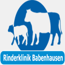 tieraerztlicheklinik-babenhausen.de