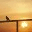 penandpicture.wordpress.com