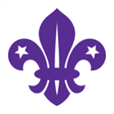 wellowscouts.org