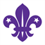 wellowscouts.org