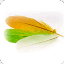 wangxiaoling.net