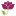 floresyrosas.cl