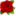 springrosepark.com