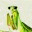 catchthegreenbug.com